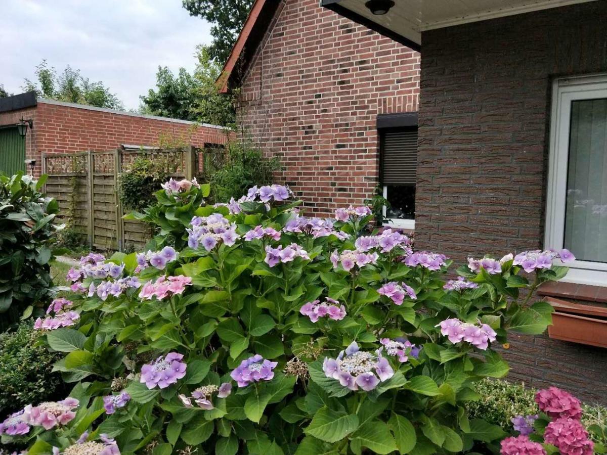 Appartment Daji Линебург Экстерьер фото